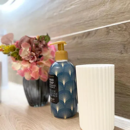 V5 Très Joli Proche Bâle Appartement